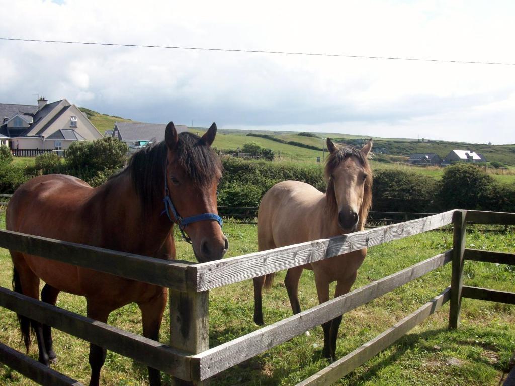 O'Connor'S Accommodation Doolin Exterior foto