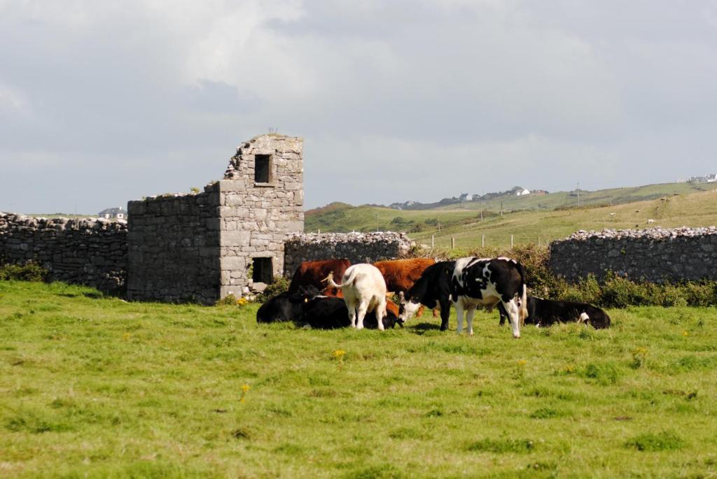 O'Connor'S Accommodation Doolin Exterior foto