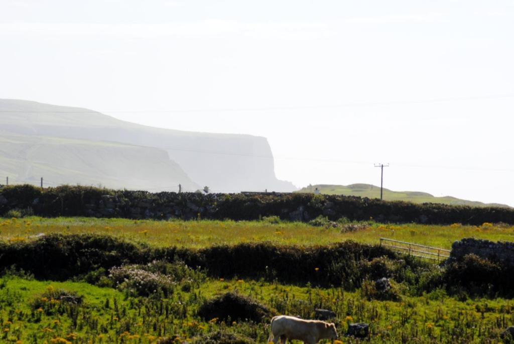 O'Connor'S Accommodation Doolin Exterior foto