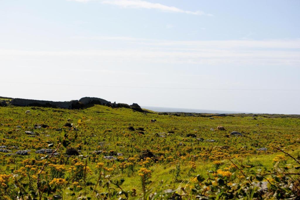 O'Connor'S Accommodation Doolin Exterior foto